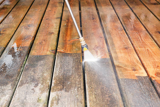 Best Roof Pressure Washing  in Fort Thomas, KY